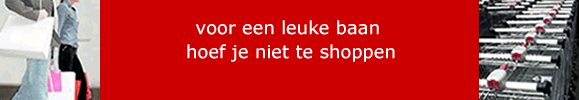 NetWerkt  Werving en Selectie